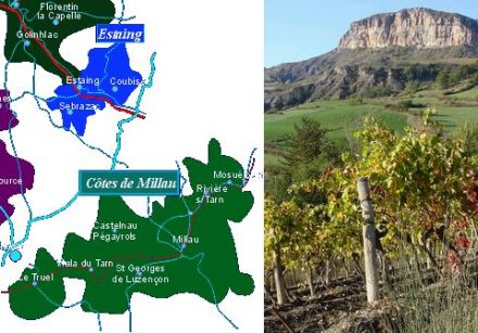 Vins du Sud-Ouest - Côtes de Millau